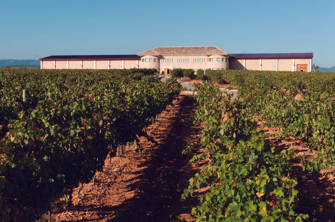 Groot en modern wijndomein van Bodegas Care in Aragón-krachtige Spaanse wijn uit de zon