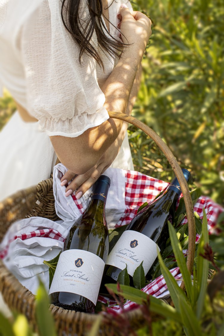 Picknick met mandje, brood en wijn -genieten in de wijngaarden van Languedoc-Roussillon
