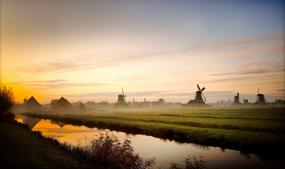 Windmolens bij Loosdrecht - iconisch Nederlands uitzicht rond opkomende wijnregio"