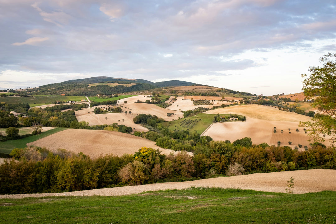 Glooiend heuvellandschap van Marche - authentieke wijnstreek in Midden-Italië