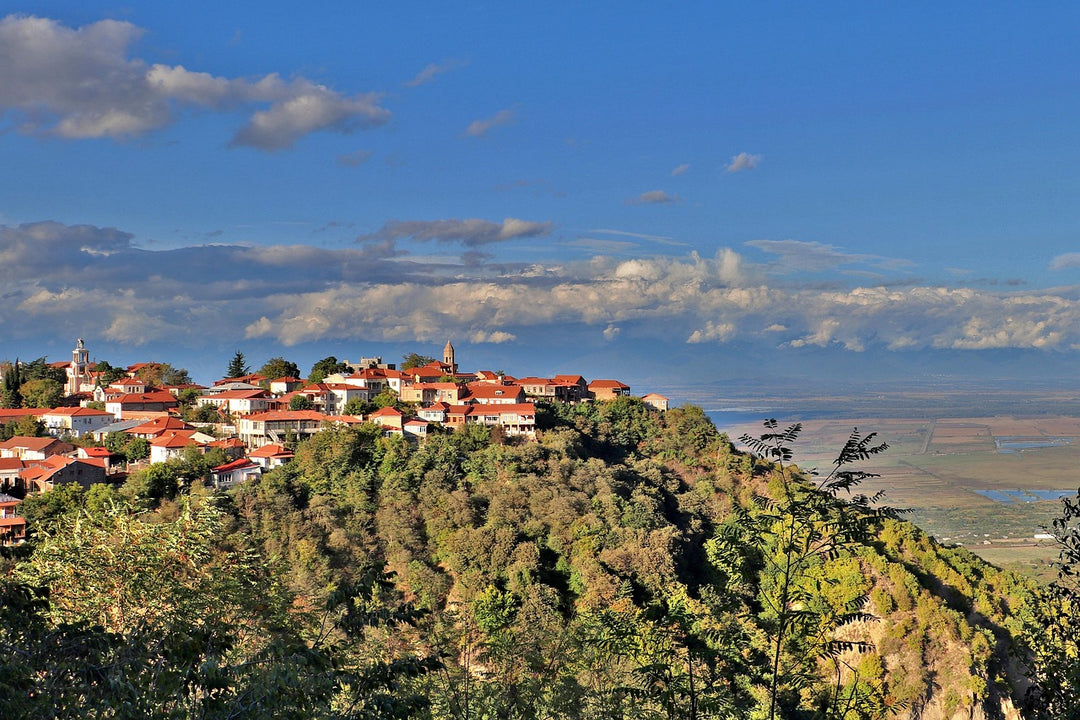 Heuvellandschap met dorpje in Kakheti - hart van de Georgische wijntraditie