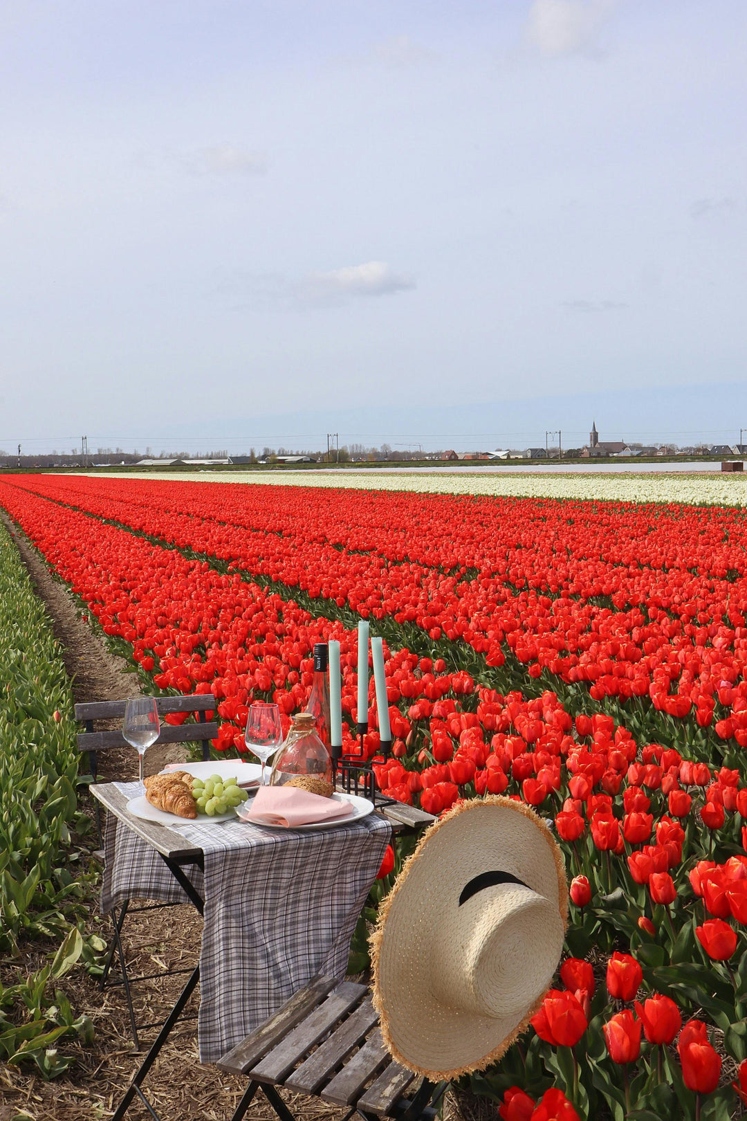 Bloeiend tulpenveld in Loosdrecht - kleurrijk landschap rondom Nederlandse wijngaarden