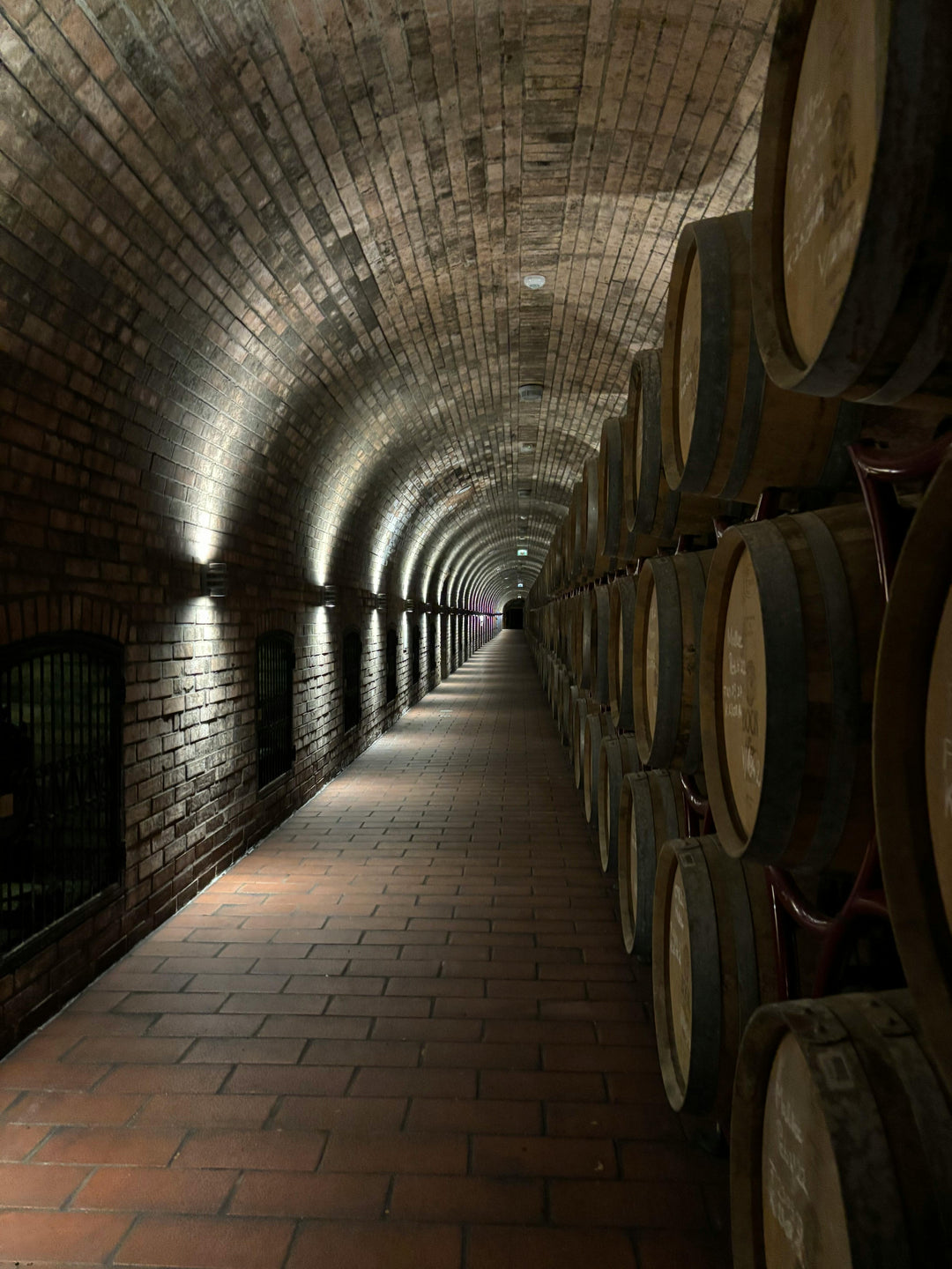 Traditionele wijnkelder in Villány -eikenhouten vaten voor cabernet franc en kékfrankos