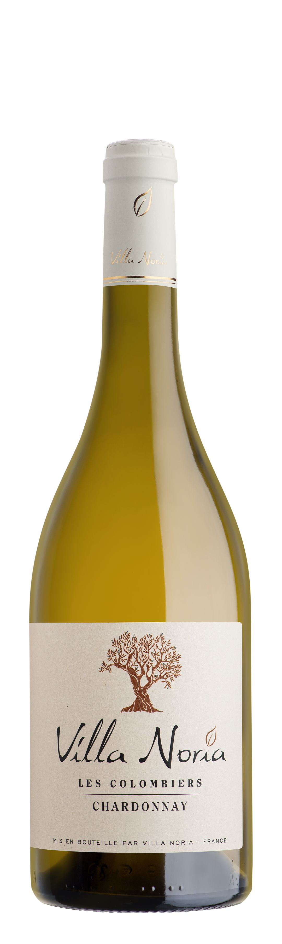 Villa Noria - Les Colombiers Chardonnay BIO