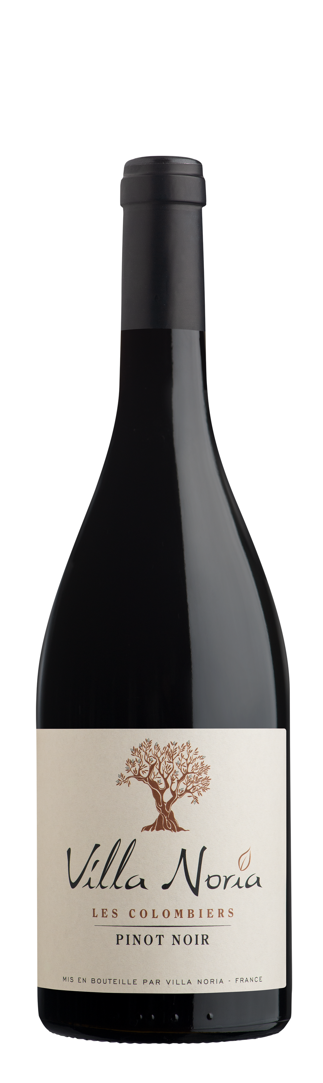 Villa Noria - Les Colombiers Pinot Noir BIO