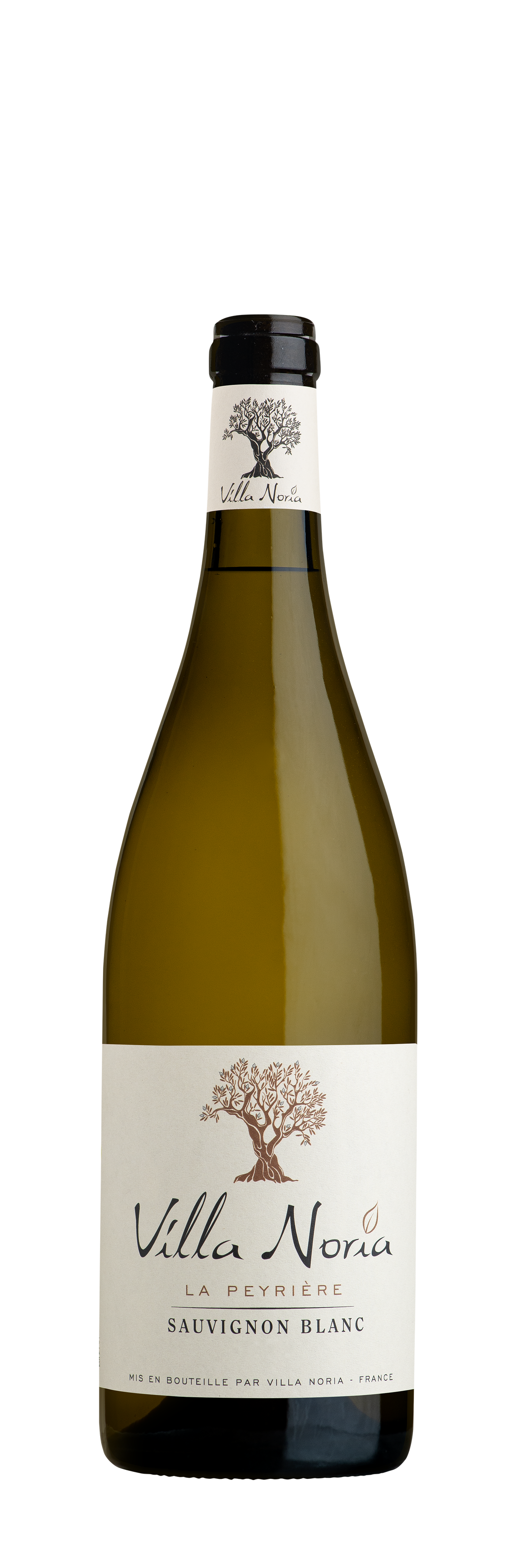 Villa noria - Grand Prestige "La Peyrière" Sauvignon Blanc BIO