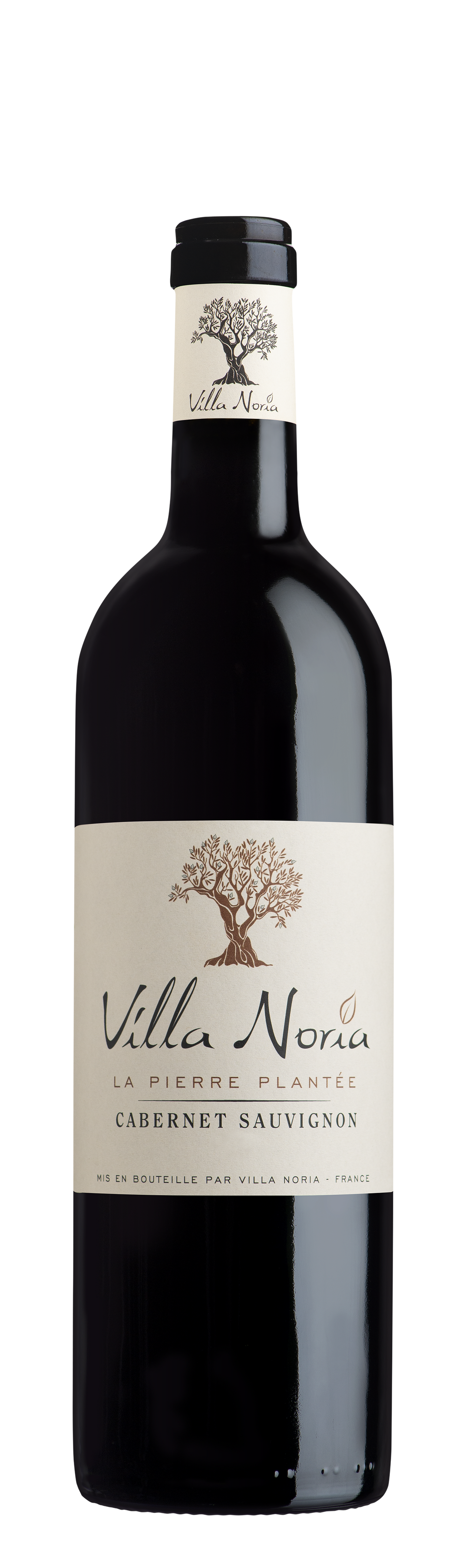 Villa Noria - Grand Prestige "La Pierre Plantée" Cabernet Sauvignon BIO